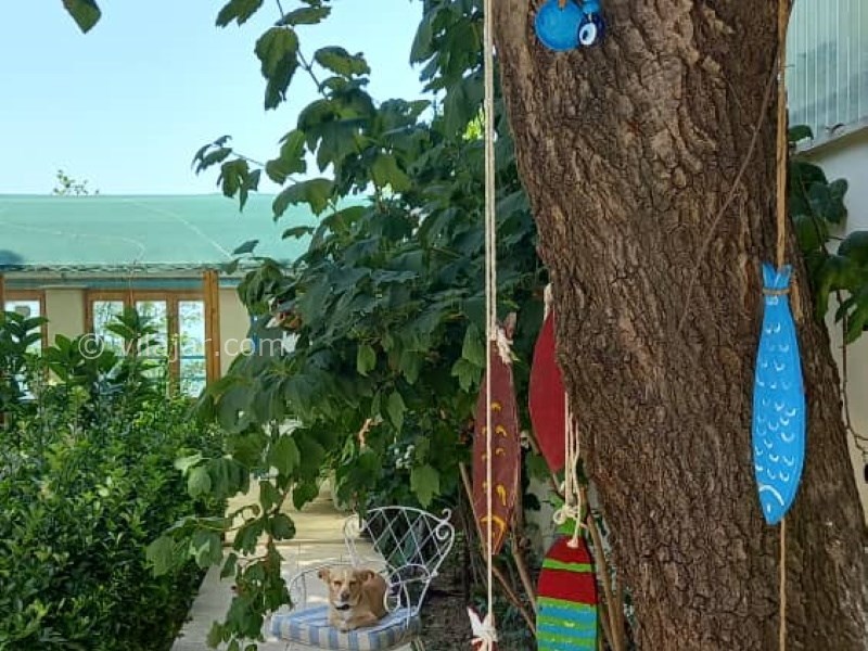 عکس شماره 835535 - اجاره اقامتگاه لب دریا در نوشهر - 