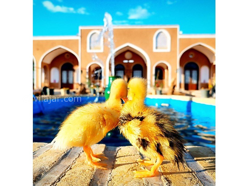 عکس شماره 836014 - اقامتگاه سنتی بابا رجب ابوزید آباد -