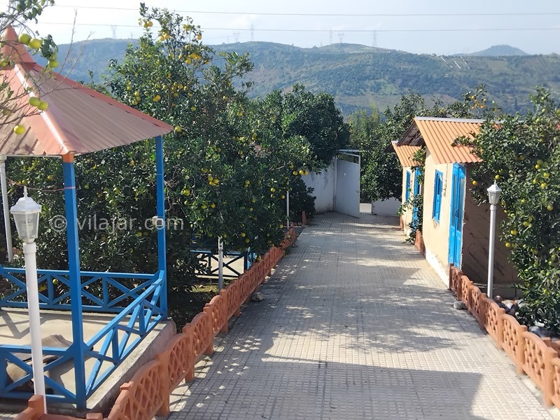 عکس شماره 836608 - اجاره اقامتگاه چوبی جاده گنج افروز - 