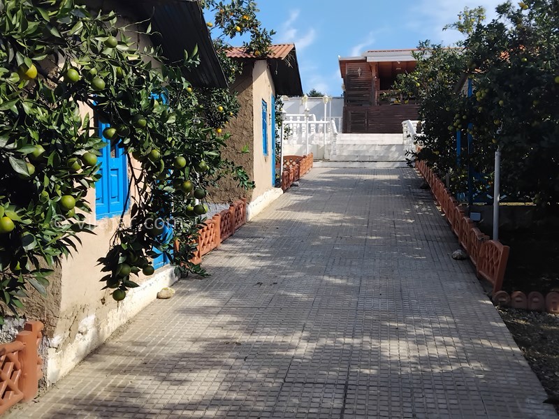 عکس شماره 836609 - اجاره اقامتگاه چوبی جاده گنج افروز - 