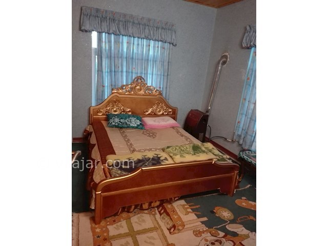 عکس شماره 83719 - ویلا دربست حیاط دار جنگلی شیرود - 