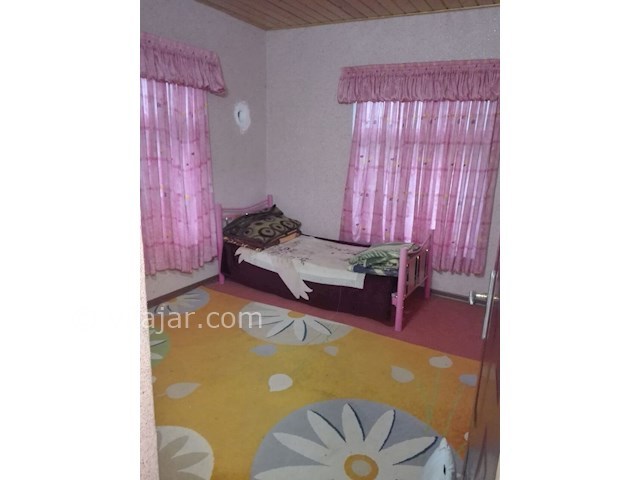 عکس شماره 83721 - ویلا دربست حیاط دار جنگلی شیرود - 