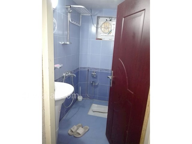 عکس شماره 83723 - ویلا دربست حیاط دار جنگلی شیرود - 