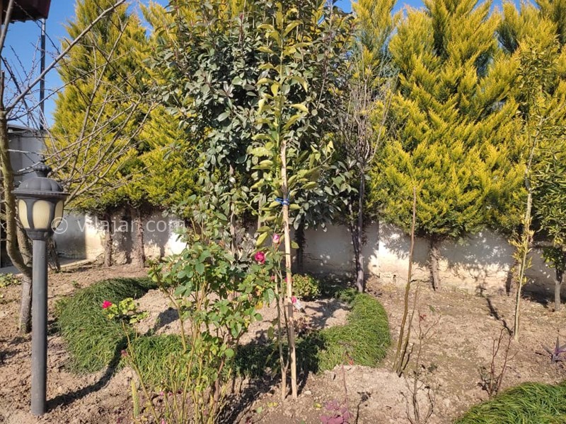 عکس شماره 837230 - اجاره ویلا استخردار سرخرود - 