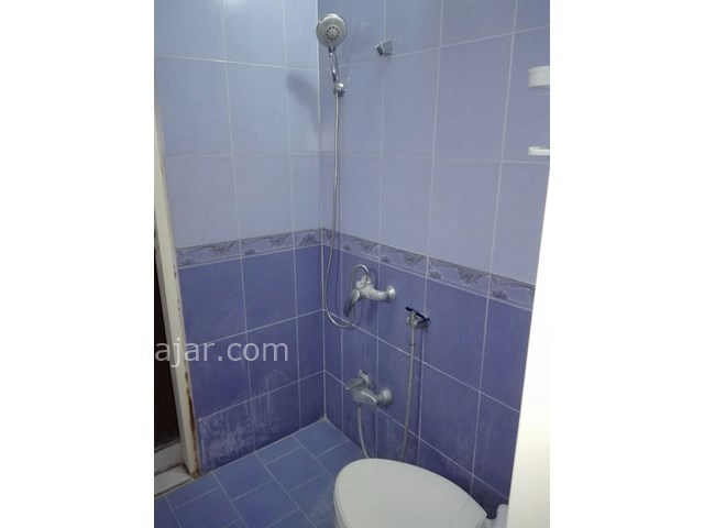 عکس شماره 83727 - ویلا دربست حیاط دار جنگلی شیرود - 