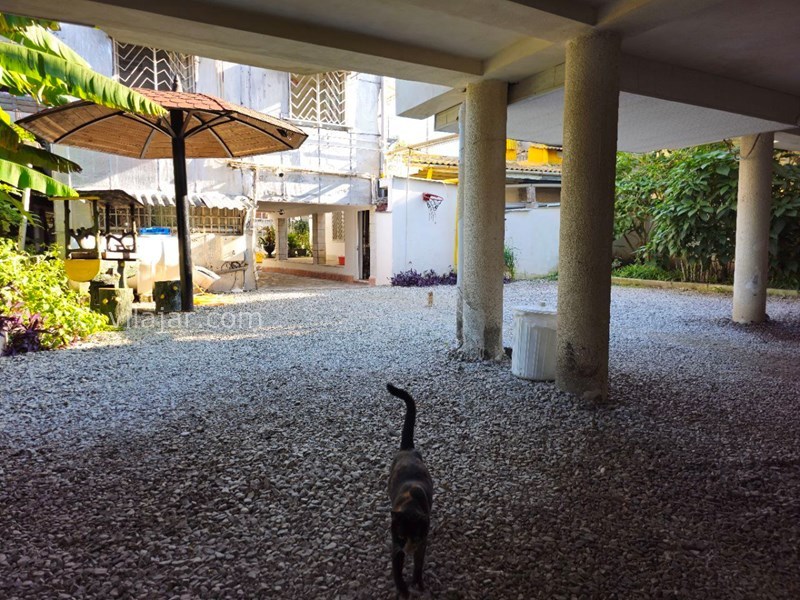 عکس شماره 837566 - اجاره ویلا با استخر جکوزی در نوشهر - 