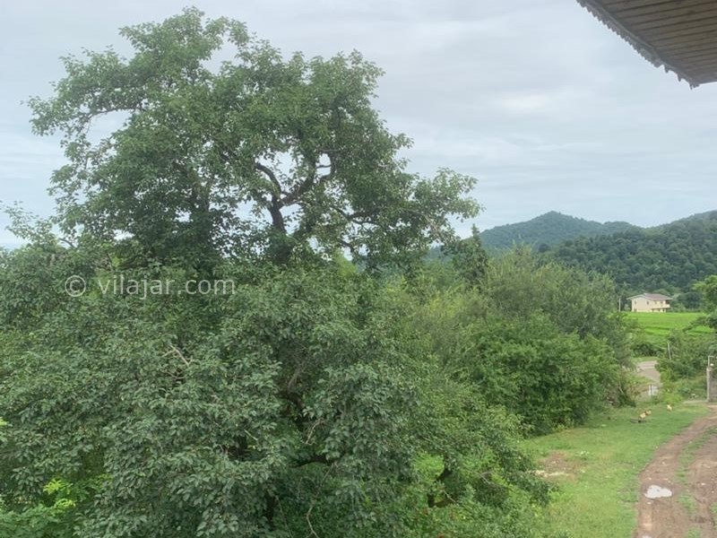 عکس شماره 839084 - اجاره ویلا چوبی جنگلی در ماسال - 