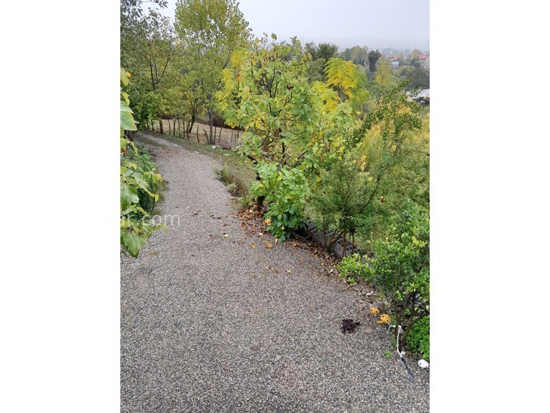 عکس شماره 839324 - اجاره کلبه چوبی در شاندرمن - 