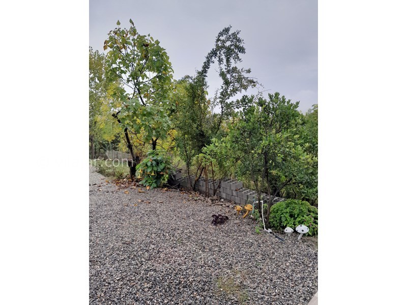 عکس شماره 839327 - اجاره کلبه چوبی در شاندرمن - 