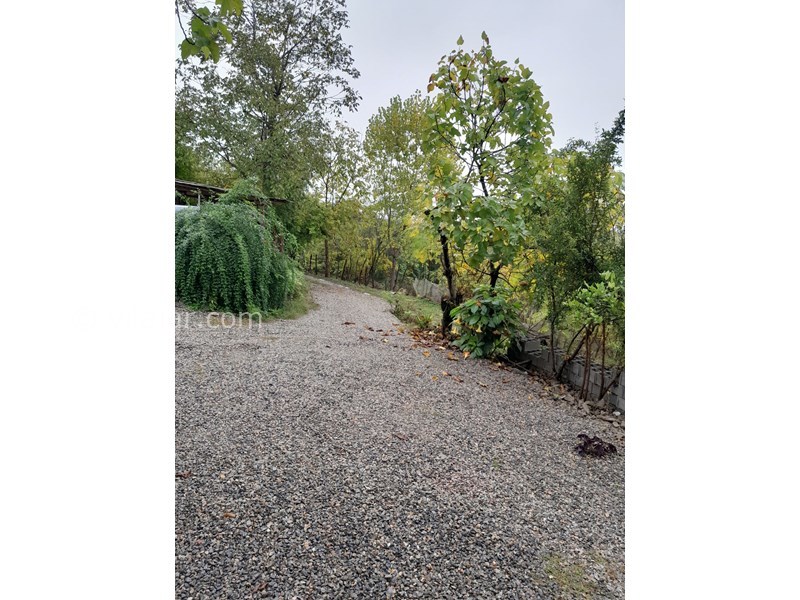 عکس شماره 839329 - اجاره کلبه چوبی در شاندرمن - 