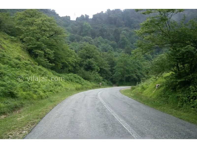 عکس شماره 839648 - اجاره ویلا در بهشهر -