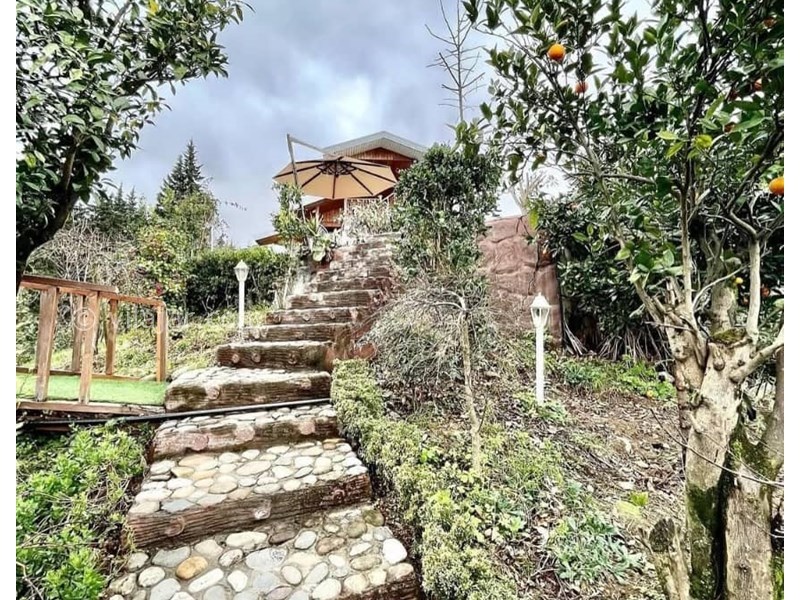 عکس شماره 840196 - ویلا با استخر آبگرم رامسر دالخانی - 