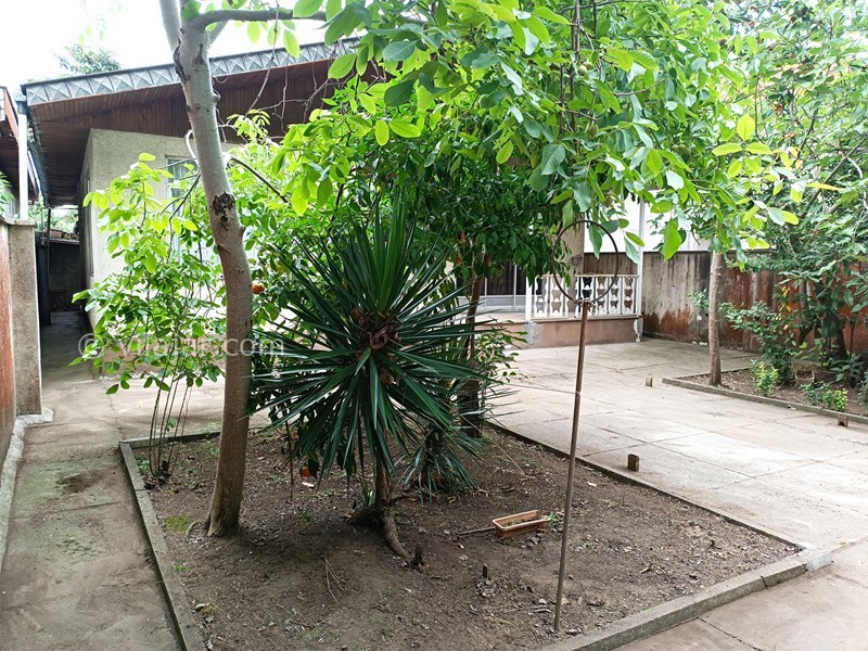 عکس شماره 840549 - اجاره ویلا در انزلی - 