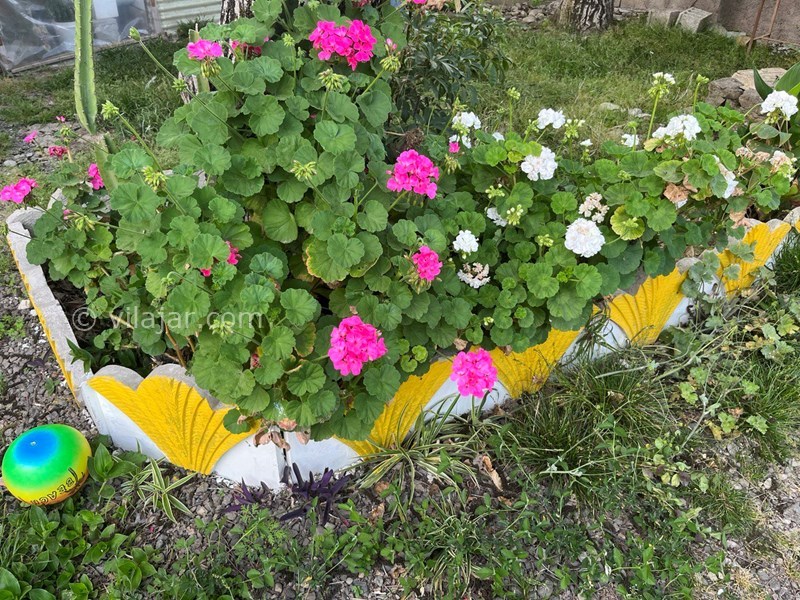 عکس شماره 841301 - اجاره کلبه چوبی در ماسال -