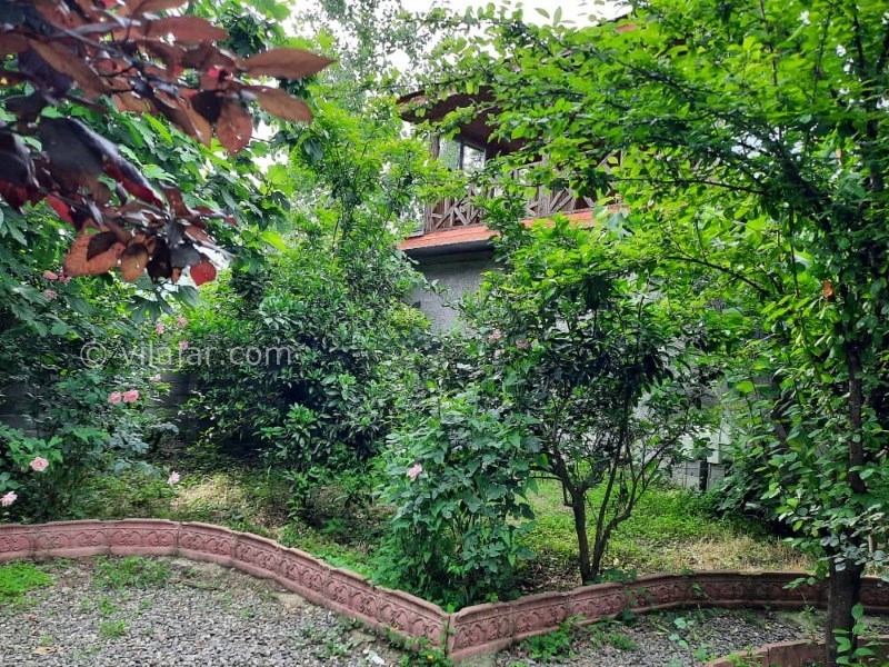 عکس شماره 842209 - اجاره ویلای دربست در ماسال - 