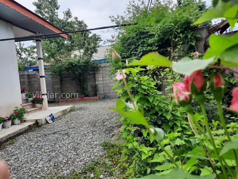 عکس شماره 842211 - اجاره ویلای دربست در ماسال - 