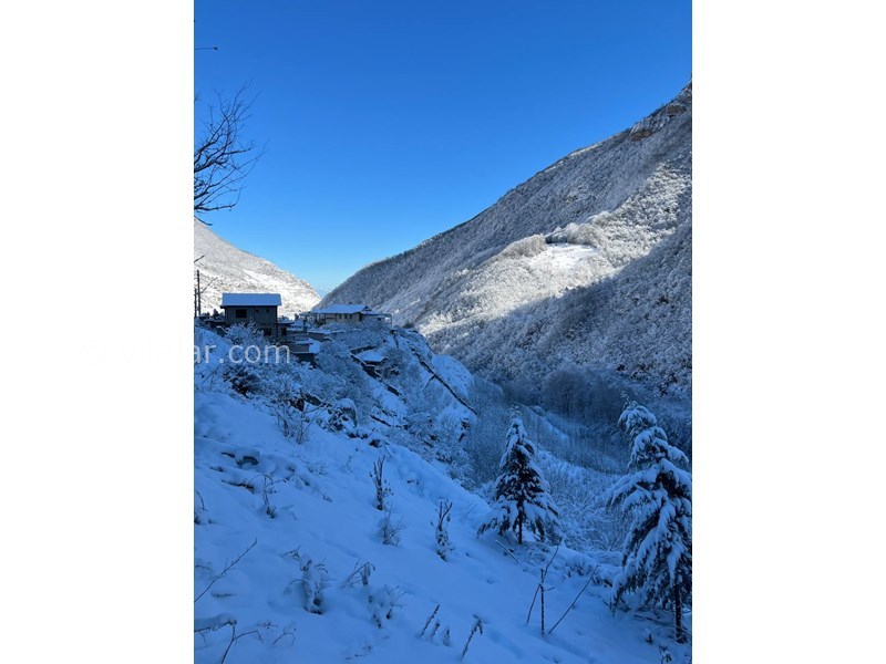 عکس شماره 842512 - ویلا ییلاقی جنگلی در جاده دوهزار -