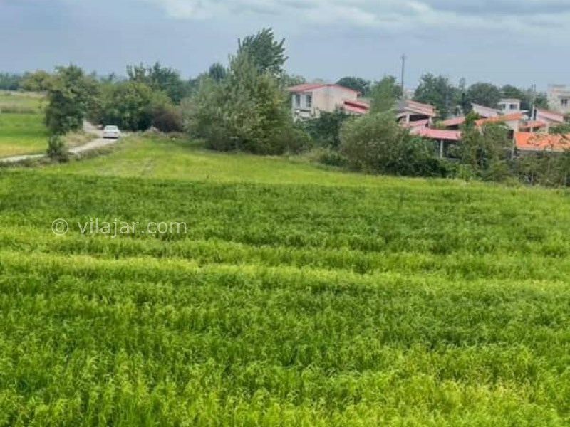 عکس شماره 842817 - اجاره ویلا در ایزدشهر با استخر - 