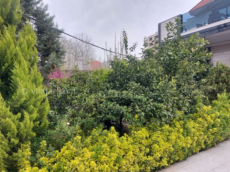 عکس شماره 843058 - اجاره ویلا با استخر جکوزی انزلی - 