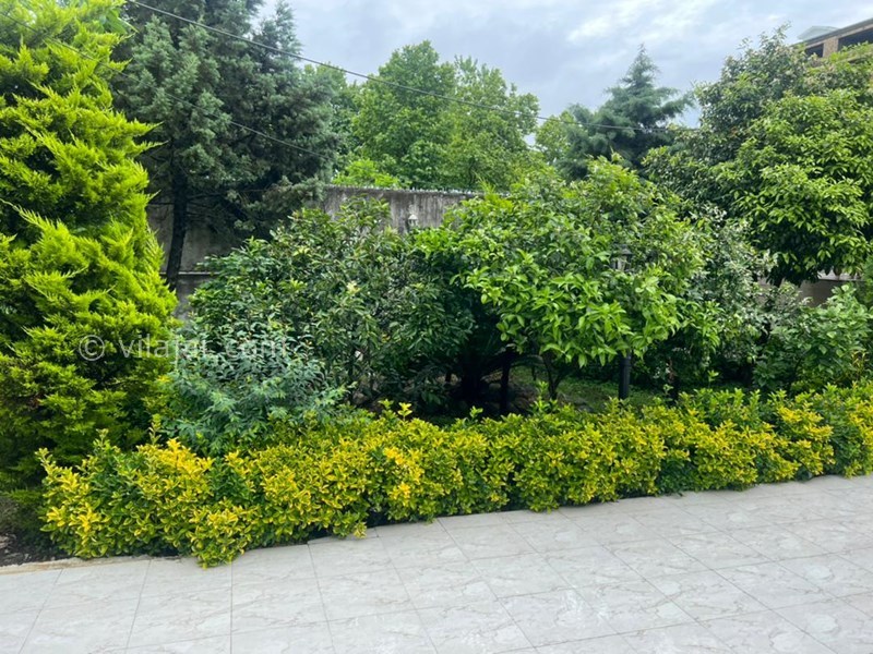 عکس شماره 843059 - اجاره ویلا با استخر جکوزی انزلی - 