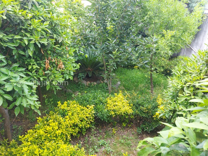 عکس شماره 843062 - اجاره ویلا با استخر جکوزی انزلی - 