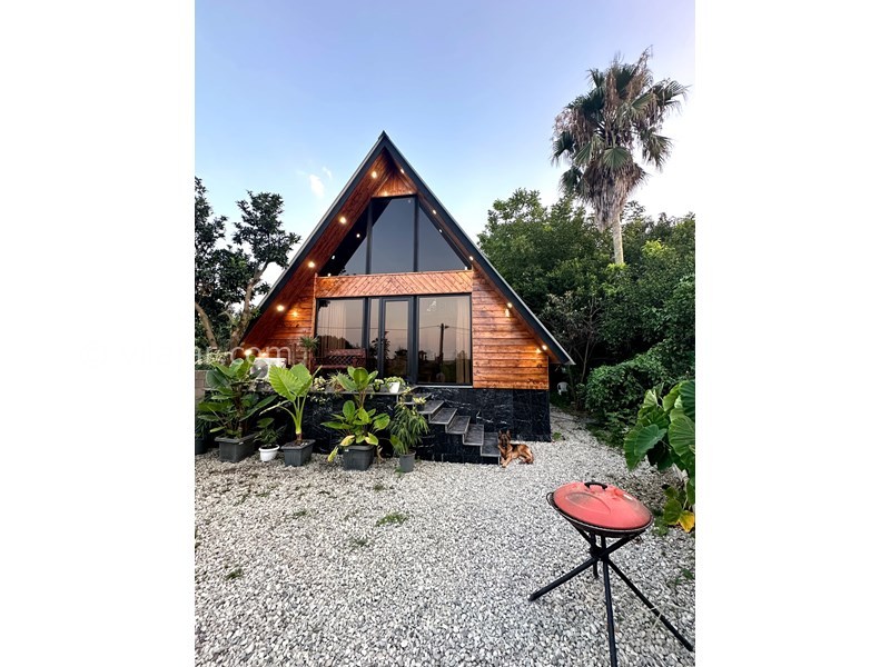 عکس شماره 844164 - اجاره کلبه چوبی جنگلی متل قو - 