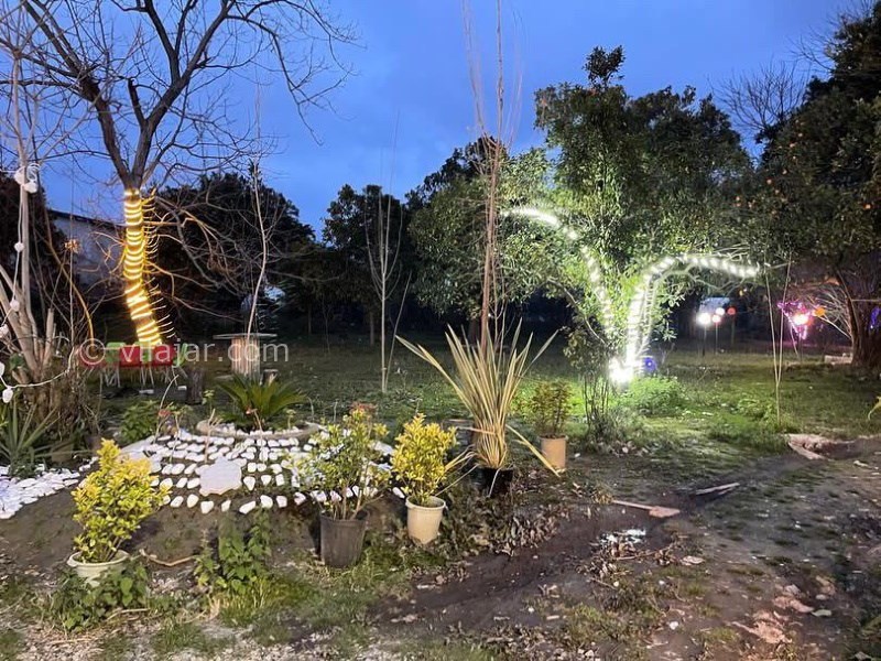 عکس شماره 844518 - اجاره کلبه چوبی جنگلی رویان - 