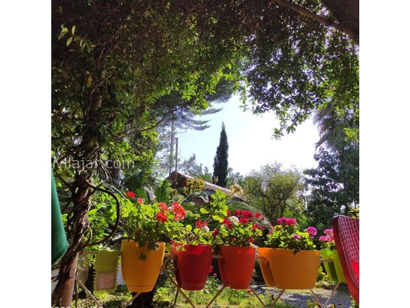 عکس شماره 844624 - ویلا با استخر چهارفصل محمودآباد - تراس