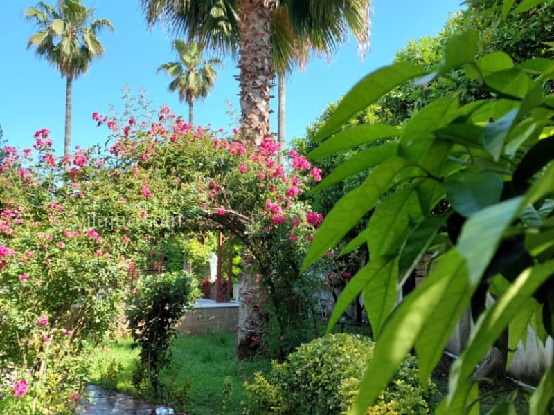 عکس شماره 844741 - ویلا مروارید ١ با 2 استخر سرخرود - 