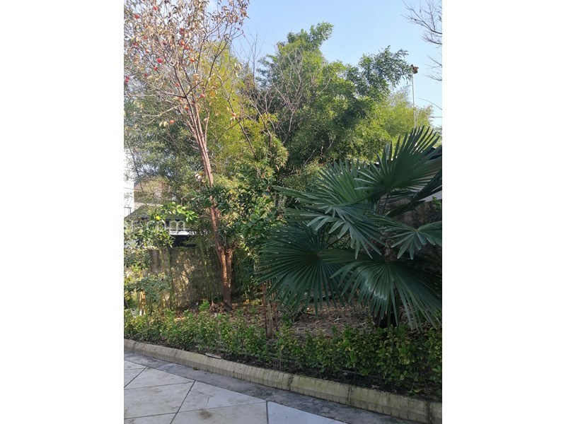 عکس شماره 844892 - اجاره ویلا در چالوس - 