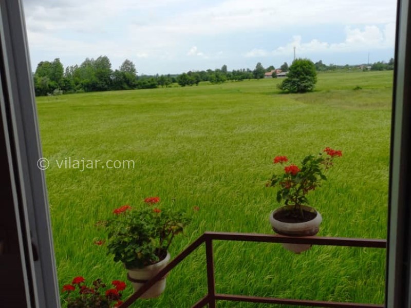 عکس شماره 845055 - اجاره ویلا چوبی جنگلی در ماسال -