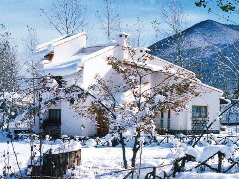 عکس شماره 845288 - اجاره ویلا دوبلکس در کلاردشت -