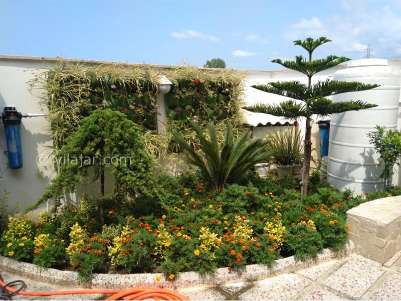 عکس شماره 845361 - ویلا با استخر و جکوزی محمودآباد - 