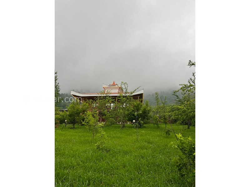 عکس شماره 846666 - اجاره ویلا چوبی در ماسال شاندرمن -