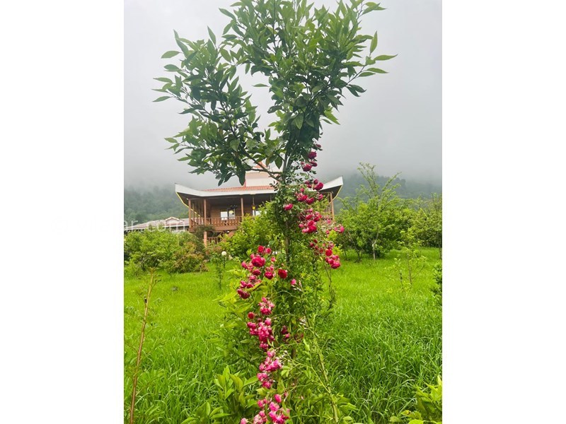 عکس شماره 846668 - اجاره ویلا چوبی در ماسال شاندرمن -