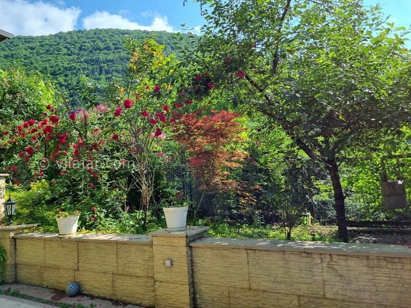 عکس شماره 846890 - ویلا دوبلکس جنگلی در کلاردشت - 