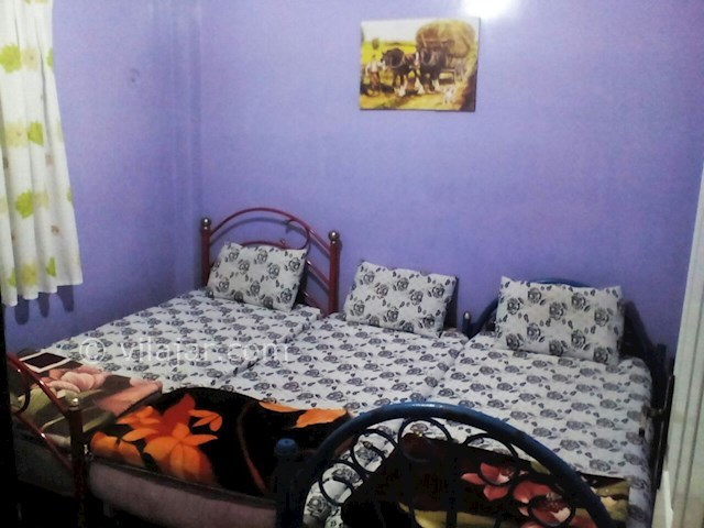 عکس شماره 84699 - اجاره ویلا در جنگل دالخانی - 