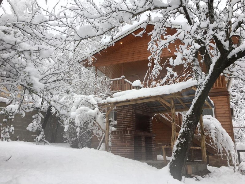 عکس شماره 847396 - اجاره ویلا چوبی در ماسال - 