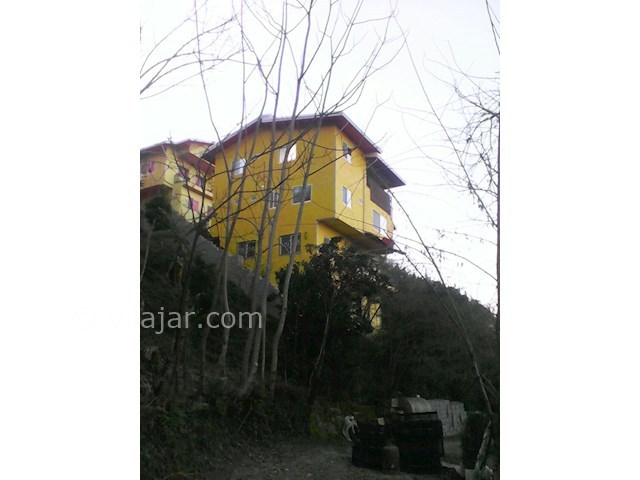 عکس شماره 84743 - اجاره ویلا در جنگل دالخانی - 