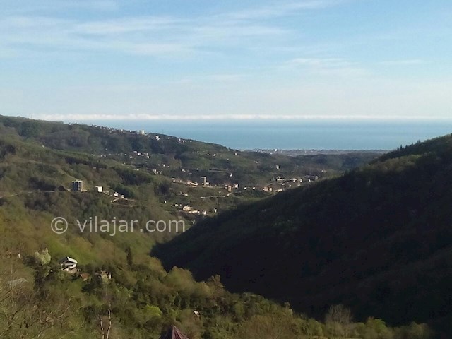 عکس شماره 84755 - اجاره ویلا در جنگل دالخانی - 