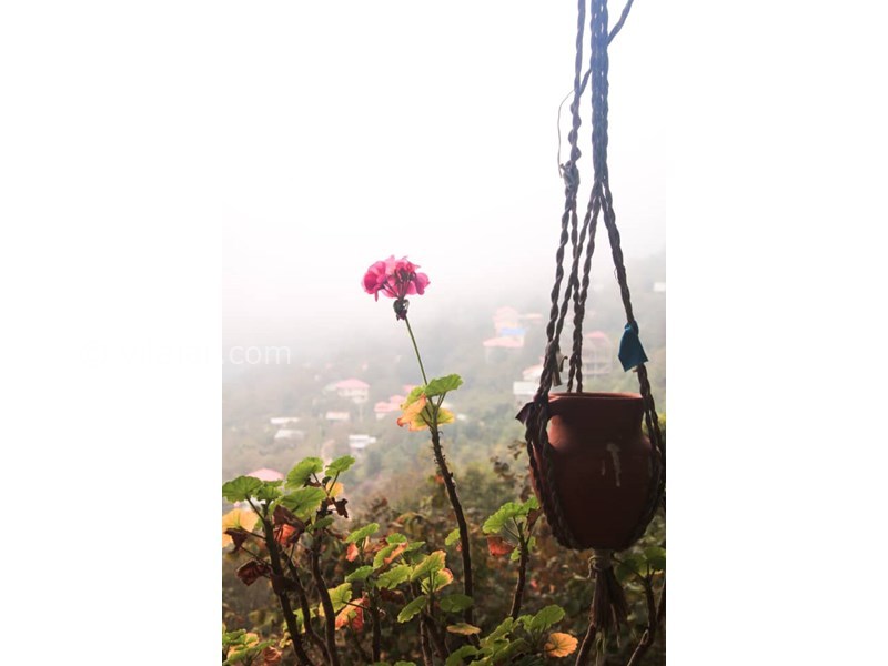 عکس شماره 848072 - اقامتگاه بومگردی ننه کلثوم - 