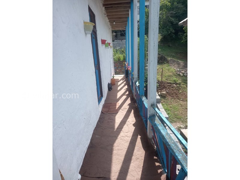 عکس شماره 848080 - اقامتگاه بومگردی ننه کلثوم - 