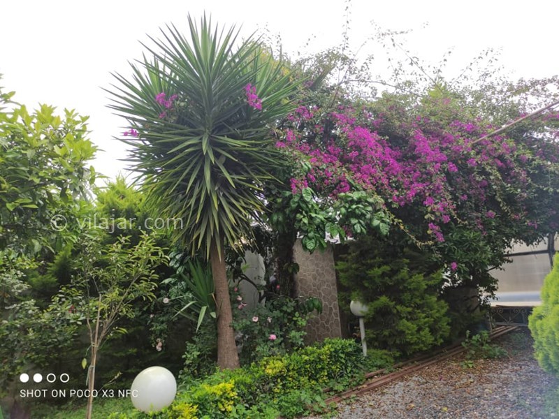 عکس شماره 848592 - ویلا با استخر چهارفصل محمودآباد - 