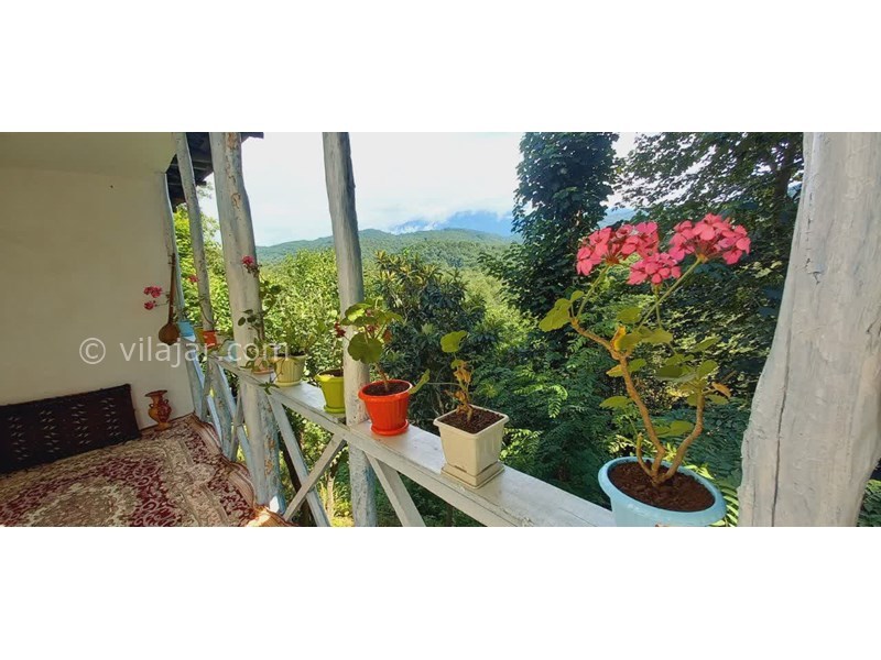 عکس شماره 848700 - اجاره خانه روستایی حلیمه جان گیلان -