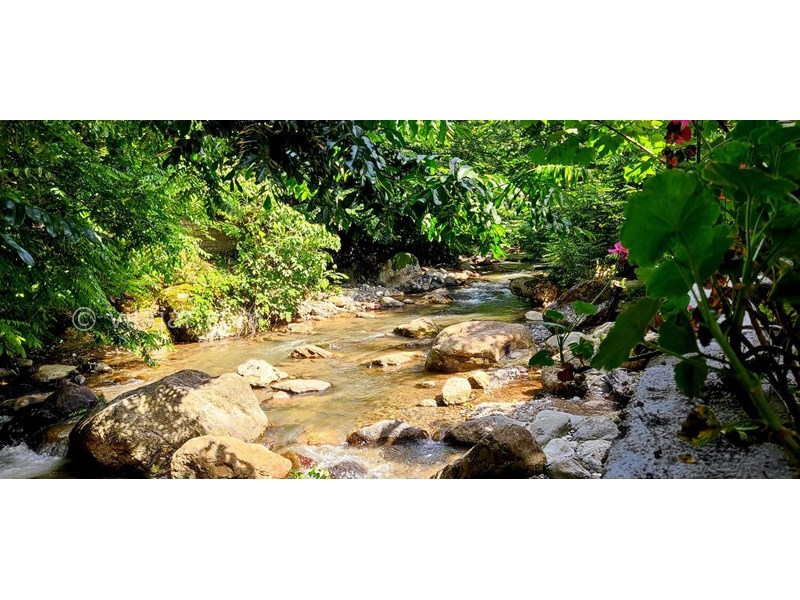 عکس شماره 848793 - اجاره ویلا کنار رودخانه ماسال شالما -