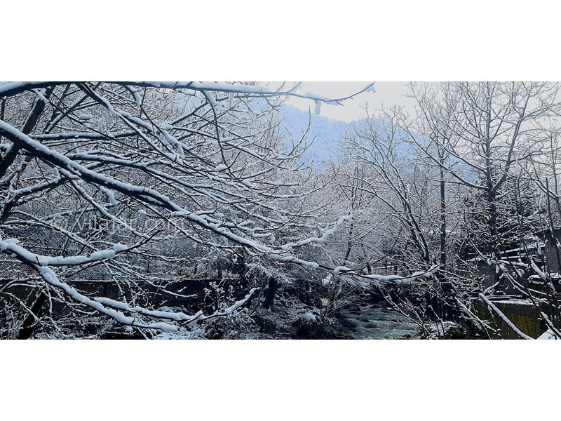 عکس شماره 848794 - اجاره ویلا کنار رودخانه ماسال شالما -