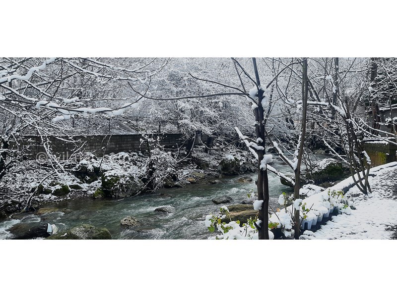 عکس شماره 848797 - اجاره ویلا کنار رودخانه ماسال شالما -