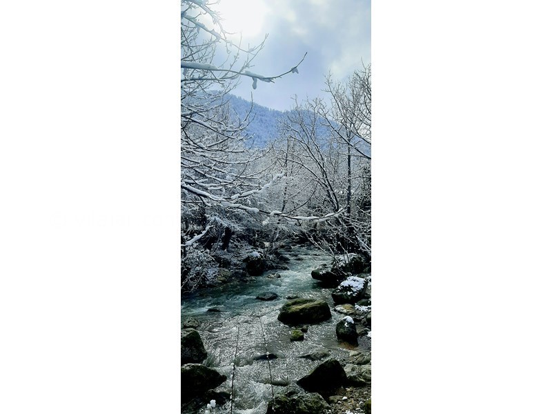 عکس شماره 848798 - اجاره ویلا کنار رودخانه ماسال شالما -