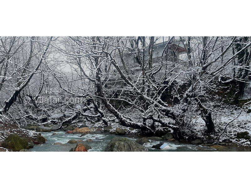 عکس شماره 848805 - اجاره ویلا کنار رودخانه ماسال شالما -