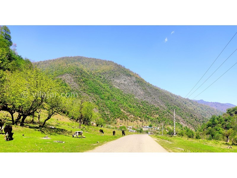 عکس شماره 848806 - اجاره ویلا کنار رودخانه ماسال شالما -